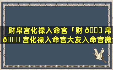 财帛宫化禄入命宫「财 🕊 帛 🍁 宫化禄入命宫大友入命宫微博」